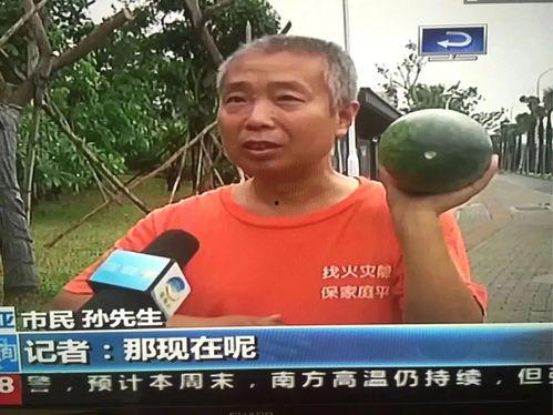 吃瓜群众上车事件,揭秘网络舆论的狂欢与反思