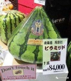 国人吃瓜群众搞笑,揭秘国人搞笑吃瓜瞬间