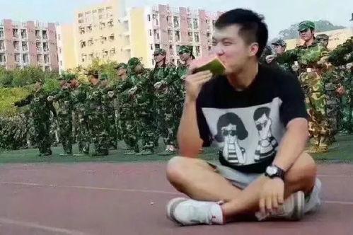 吃瓜群众赵文静,揭秘吃瓜群众的趣味生活