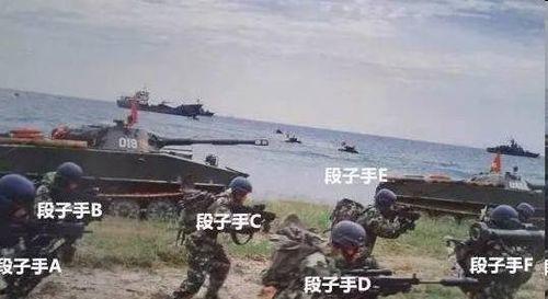 法律利剑吃瓜群众,见证正义的力量