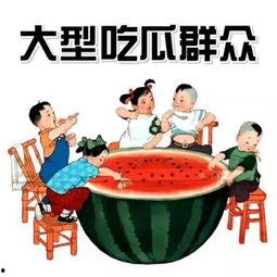 吃瓜群众的孙子叫什么,揭秘吃瓜群众孙子的名字之谜