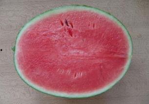 吃瓜群众玉盘,揭秘娱乐圈的“吃瓜”风云