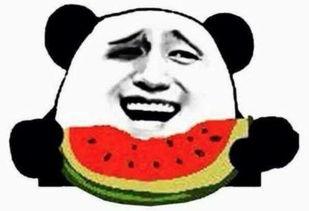 香肩吃瓜群众,揭秘娱乐圈幕后风云